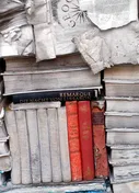 Buch Mack ueber Josephsohn Buch Mack ueber Josephsohn