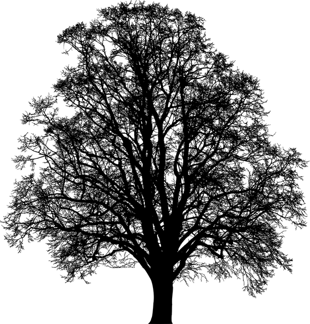 Symbol Wachstum