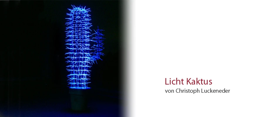 Licht Kaktus von Christoph Luckeneder Licht Kaktus von Christoph Luckeneder