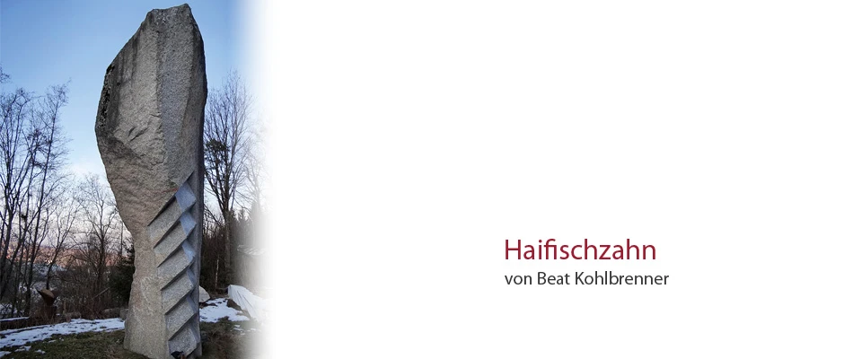 Haifischzahn von Beat Kohlbrenner Haifischzahn von Beat Kohlbrenner